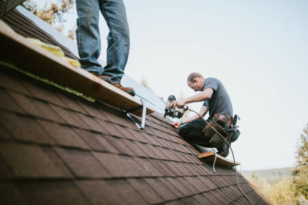 Quick and Trustworthy Emergency Roof Repair Services in Blytheville, AR